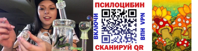 Псилоцибиновые грибы Cubensis Североуральск